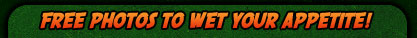 free photos to wet your appetite!