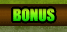 Bonus